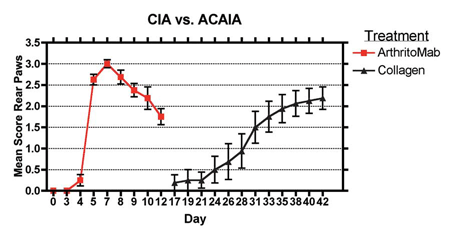 Collagen antibody induced arthritis is a shorter alternative to the collagen induced arthritis model